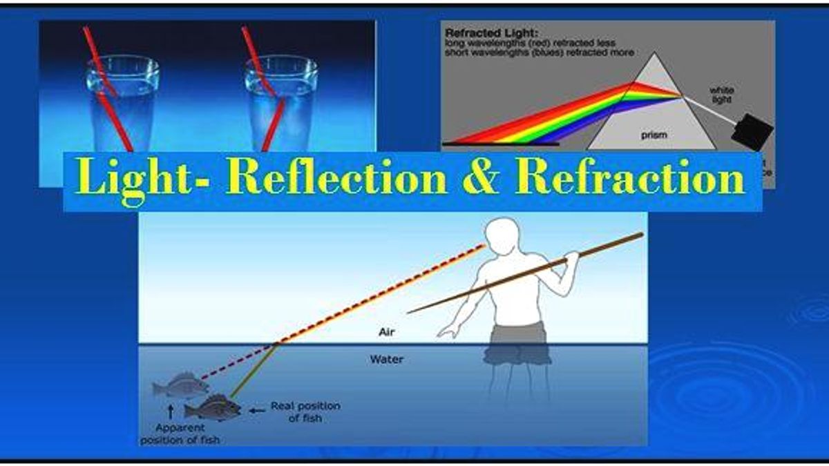 Light - Reflection and Refraction